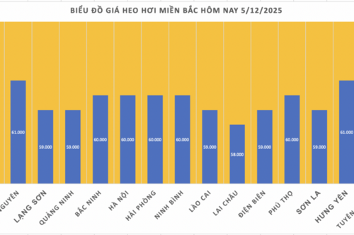Giá heo hơi hôm nay 5/12/2025: Tiếp tục lập đỉnh mới