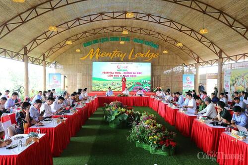 Công bố nhiều hoạt động tại Festival hoa – kiểng Sa Đéc 2025