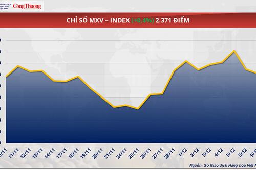 Giá ngô thế giới rơi khỏi ngưỡng 175 USD/tấn