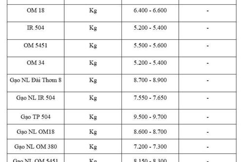 Giá lúa gạo hôm nay ngày 12/12: Gạo thơm neo giá cao, lúa giữ giá