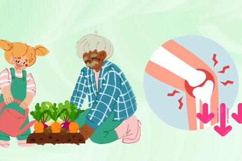 Thú vui quen thuộc giúp người già giảm nguy cơ viêm khớp gối