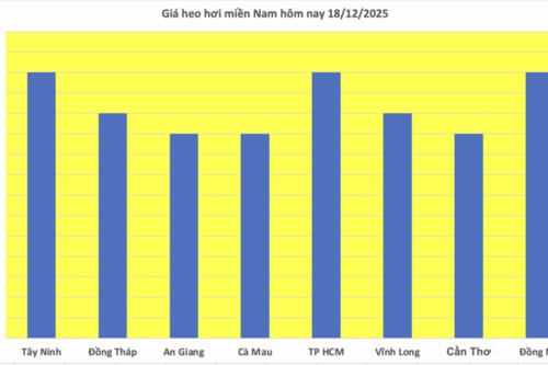 Giá heo hơi hôm nay 18/12/2025: Lập đỉnh mới - 67.000 đồng/kg