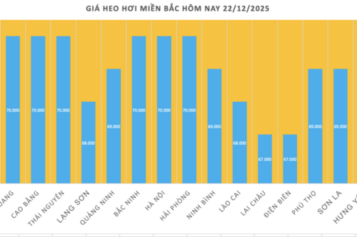 Giá heo hơi hôm nay 22/12/2025: Tiếp đà tăng, đạt đỉnh mới