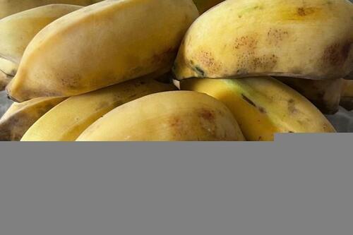 Thực phẩm giúp tăng đường huyết khi bị hạ đường trong máu