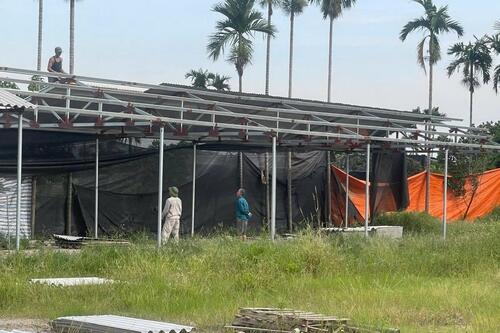 Hải Phòng: Quy trách nhiệm toàn diện cho Chủ tịch UBND cấp xã để xảy ra vi phạm đất đai