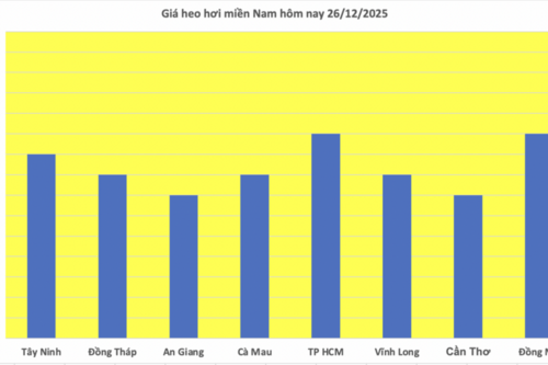 Giá heo hơi hôm nay 26/12/2025: Biến động trái chiều