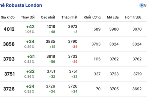 Giá cà phê hôm nay 29/12/2025: Tạm chững phiên đầu tuần