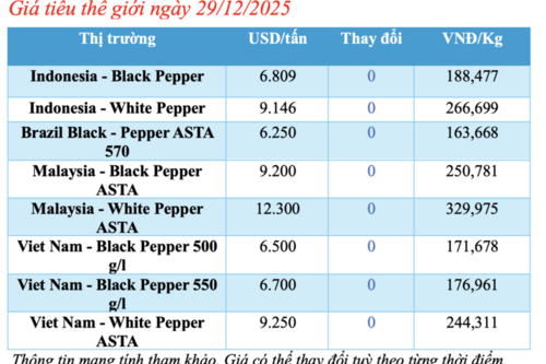 Giá tiêu hôm nay 29/12/2025: Cao nhất 151.000 đồng/kg