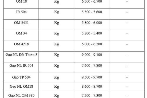 Giá lúa gạo hôm nay ngày 7/1/2026: Thị trường lặng sóng, giá ổn định