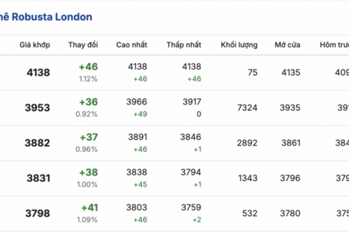 Giá cà phê hôm nay 14/1/2026: Giảm nhẹ ở Lâm Đồng