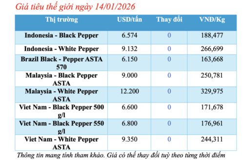 Giá tiêu hôm nay 14/1/2026: Cắt chuỗi neo cao, quay đầu giảm
