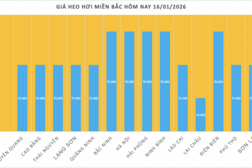 Giá heo hơi hôm nay 16/1/2026: Miền Trung, miền Nam tiếp tục tăng