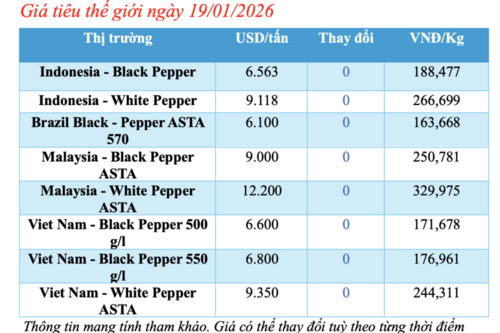 Giá tiêu hôm nay 19/1/2026: Tiếp tục đi ngang