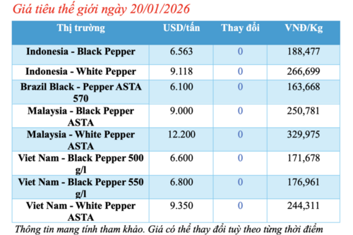 Giá tiêu hôm nay 20/1/2026: Giữ đà ổn định