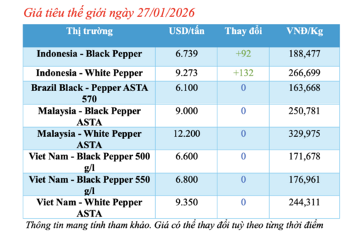 Giá tiêu hôm nay 27/1/2026: Tăng rải rác