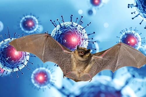 Chỉ đạo mới của Hà Nội liên quan loại virus có tỉ lệ tử vong cao