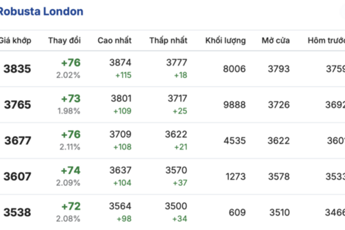 Giá cà phê hôm nay 13/2/2026: Tăng nhẹ