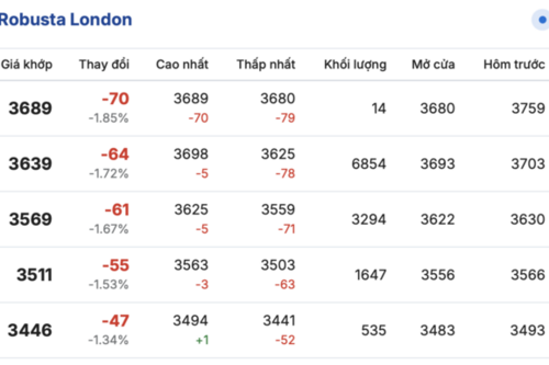 Giá cà phê hôm nay 27/2/2026: Tăng thêm 1.000 đồng/kg