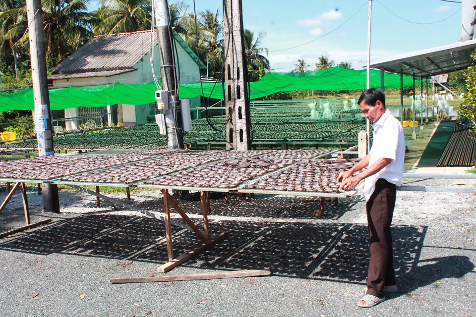 Tháng 11 đến tháng 4 âm lịch hàng năm là mùa thu hoạch và sản xuất cá khô bổi truyền thống. Ảnh: Hoàng Quân.