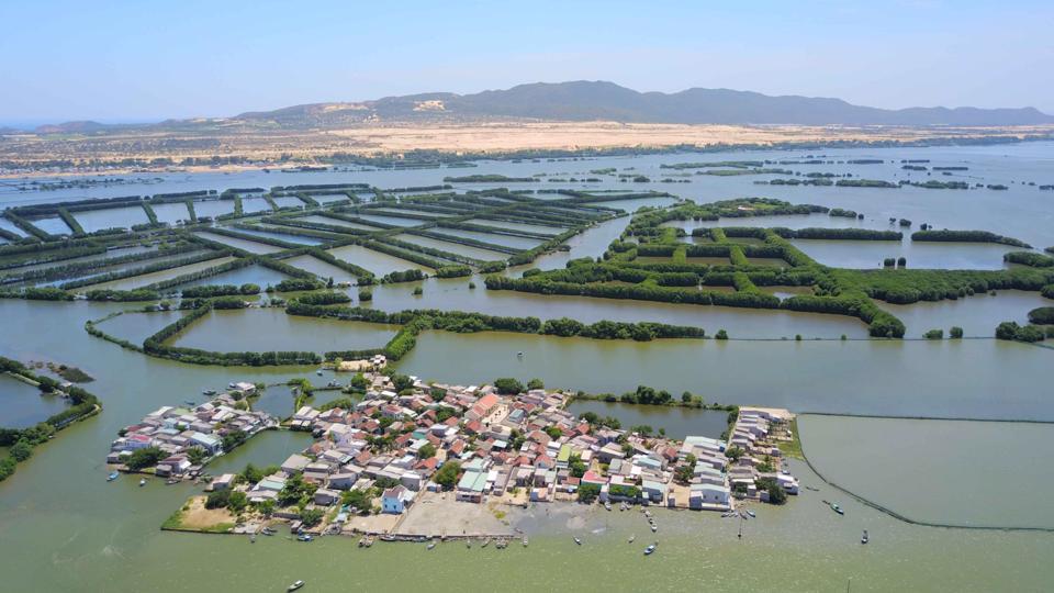 Một góc Đầm Thị Nại. (Ảnh: Hồ Hữu Tấn)