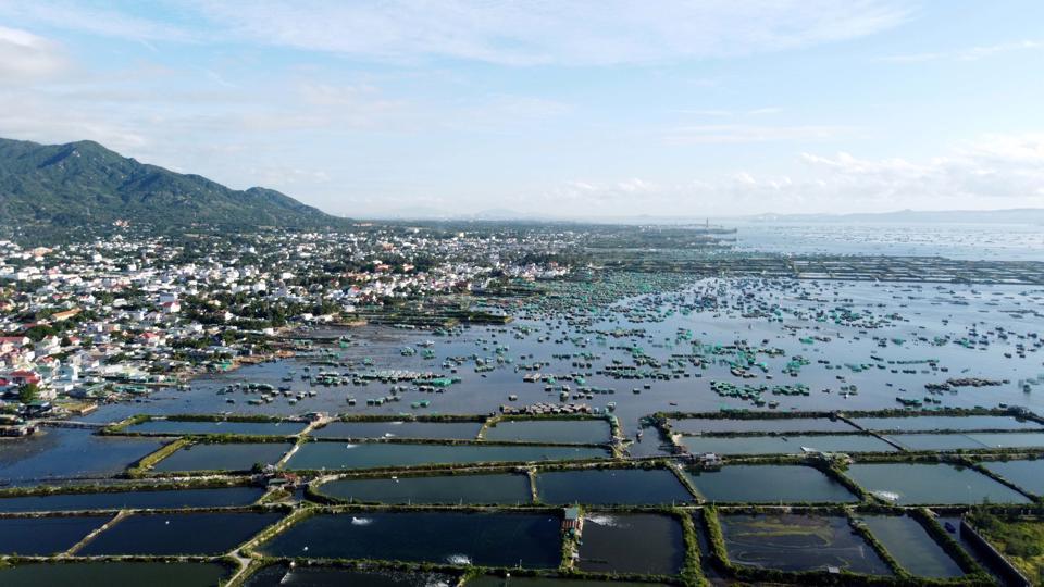 Hàng nghìn ha đất nông nghiệp tại TP Cam Ranh được chuyển đổi thành đất thương mại dịch vụ. (Ảnh: Trung Vũ).