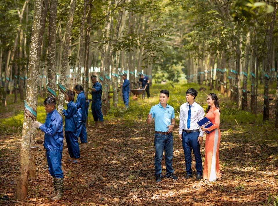 Cho vay chuỗi giá trị thúc đẩy phát triển kinh tế nông thôn bền vững - Ảnh 1