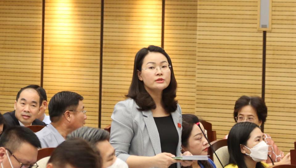 ĐB Phạm Thị Thanh Hương (Tổ ĐB huyện Ứng Hòa) đặt câu hỏi tại phiên giải trình