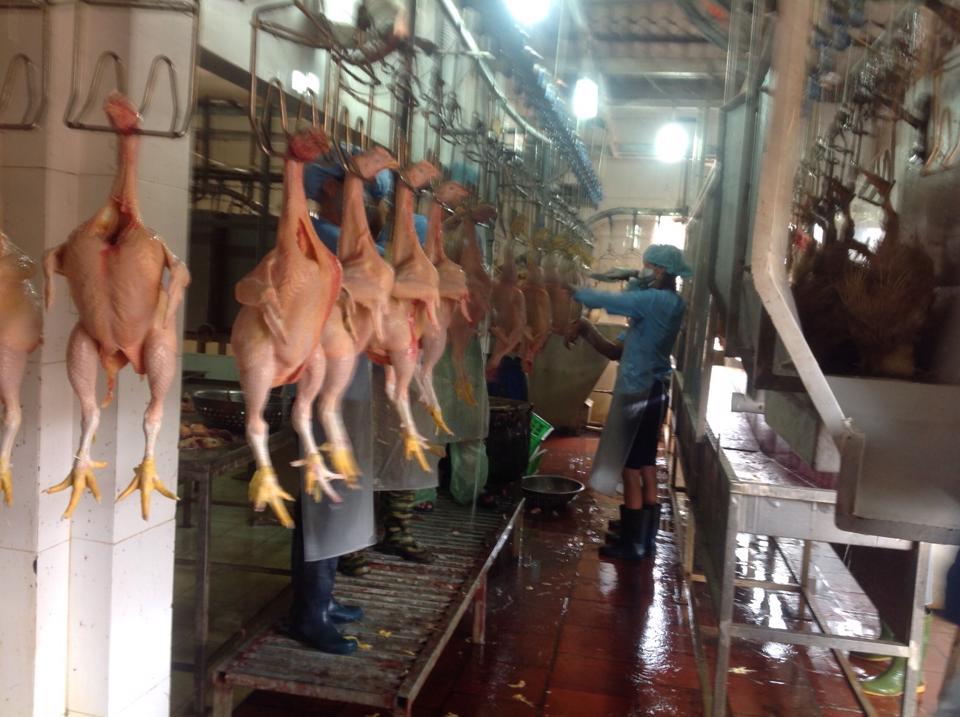 Cơ sở giết mổ gia cầm tập trung Lan Vinh ở Gia Lâm