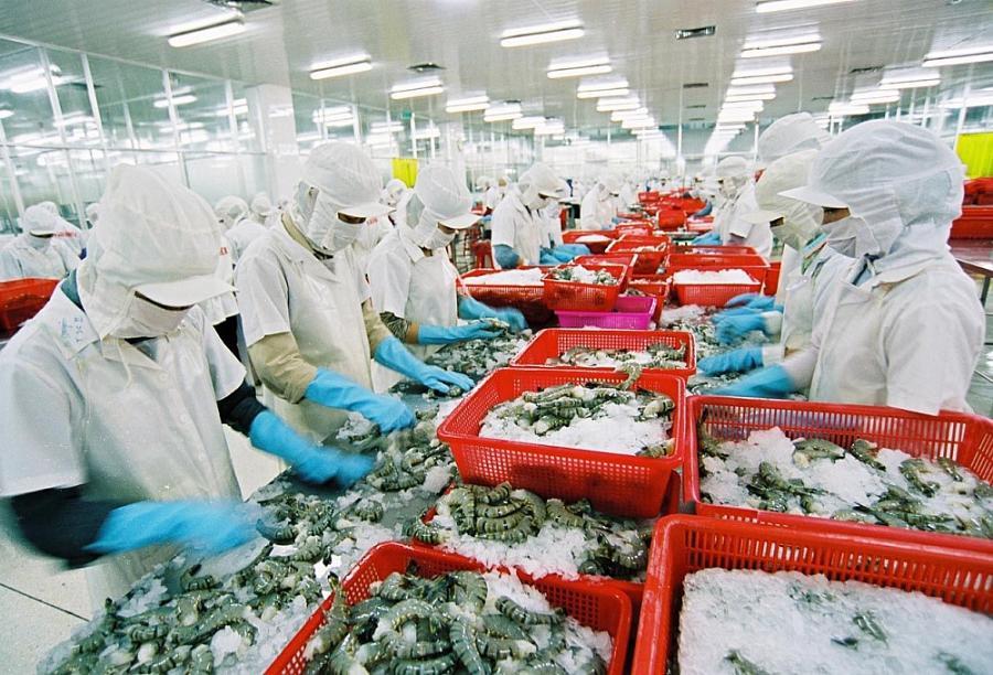 Chế biến thủy sản xuất khẩu. Ảnh minh họa