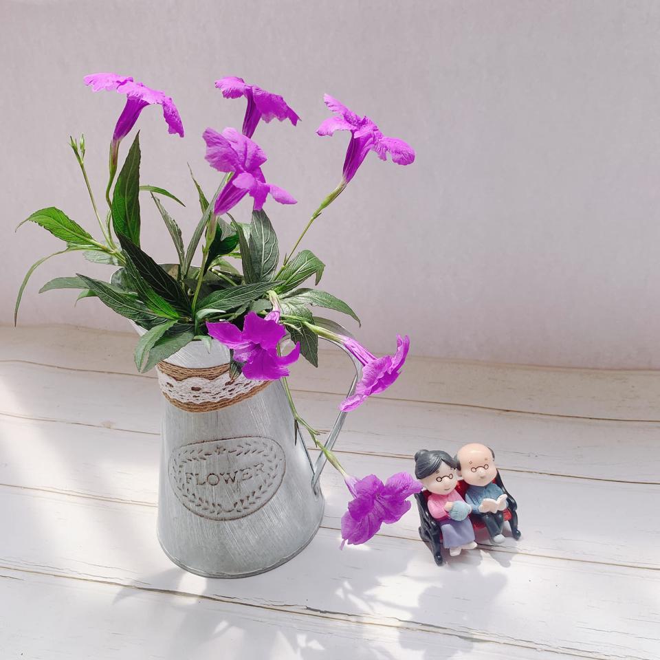 Tử vi hôm nay 16/5/2022 của 12 cung hoàng đạo - Ảnh 1