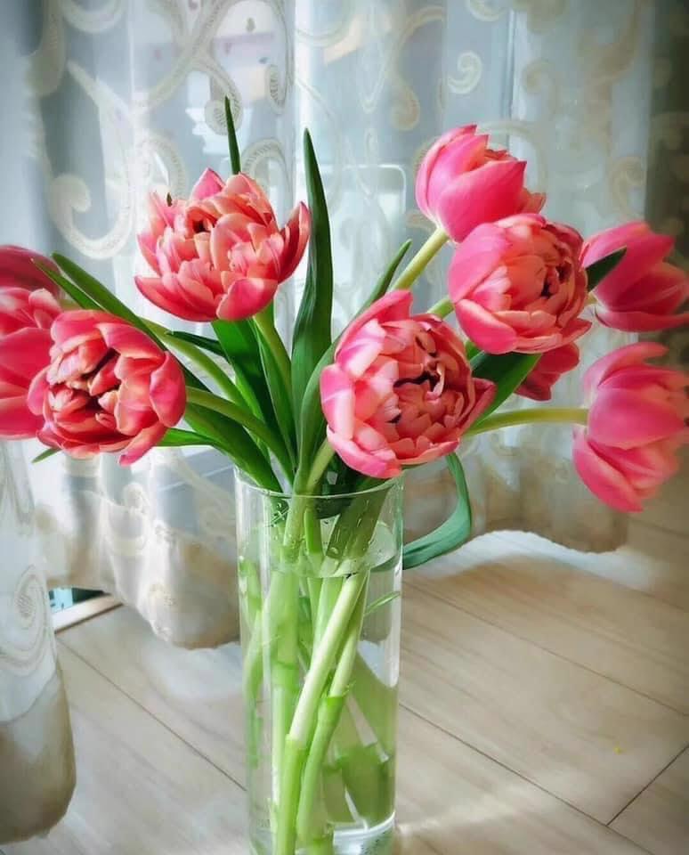 Tử vi hôm nay 16/5/2022 của 12 cung hoàng đạo - Ảnh 2