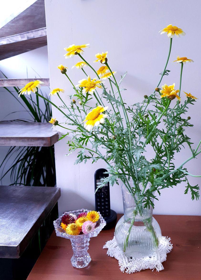 Tử vi hôm nay 19/5/2022 của 12 cung hoàng đạo - Ảnh 2