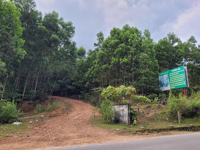 Biển cảnh báo nghiêm cấm các hành vi vi phạm Luật Lâm nghiệp được lắp đặt tại các tuyến đường vào rừng