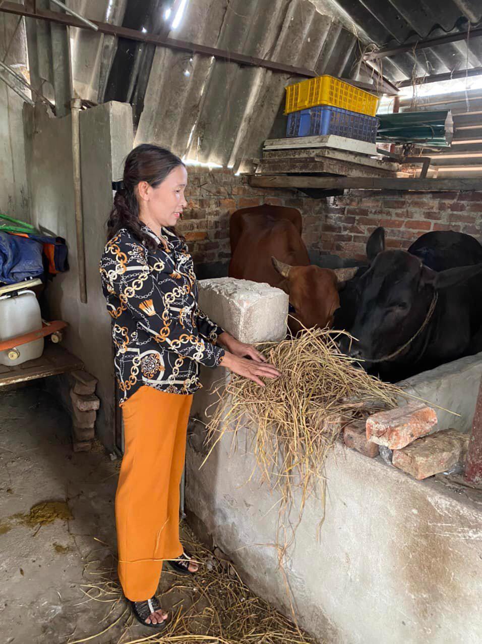 Bà Nguyễn Thị Hoan, xã Bắc Phú, huyện Sóc Sơn phấn khởi vì được vay vốn ưu đãi phát triển kinh tế gia đình