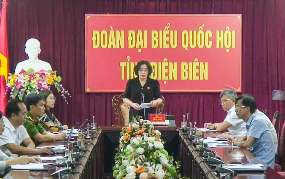 ĐB Lò Thị Luyến (Đoàn ĐBQH tỉnh Điện Biên).