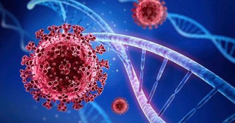 Việt Nam đã ghi nhận sự xuất hiện với các biến thể phụ mới của biến thể Omicron.