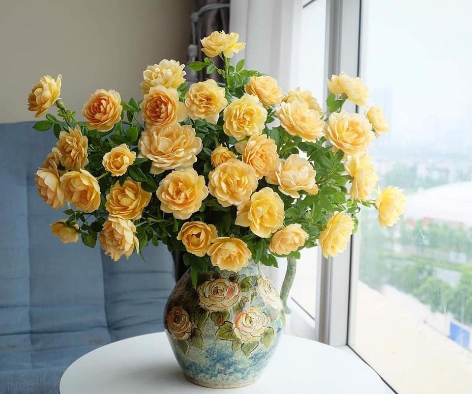 Tử vi hôm nay 24/8/2022 của 12 cung hoàng đạo - Ảnh 2