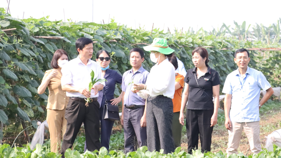 Các đại biểu tham dự tọa đàm tham quan thực tế vùng chuyên canh rau an toàn tại xã Văn Đức, huyện Gia Lâm. Ảnh: Ánh Ngọc