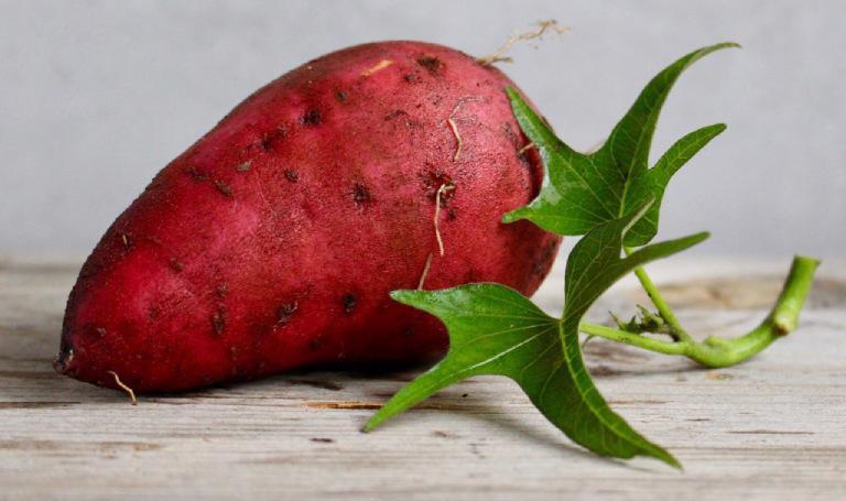 Khoai lang chứa nhiều chất xơ giúp thúc đẩy quá trình tiêu hóa.