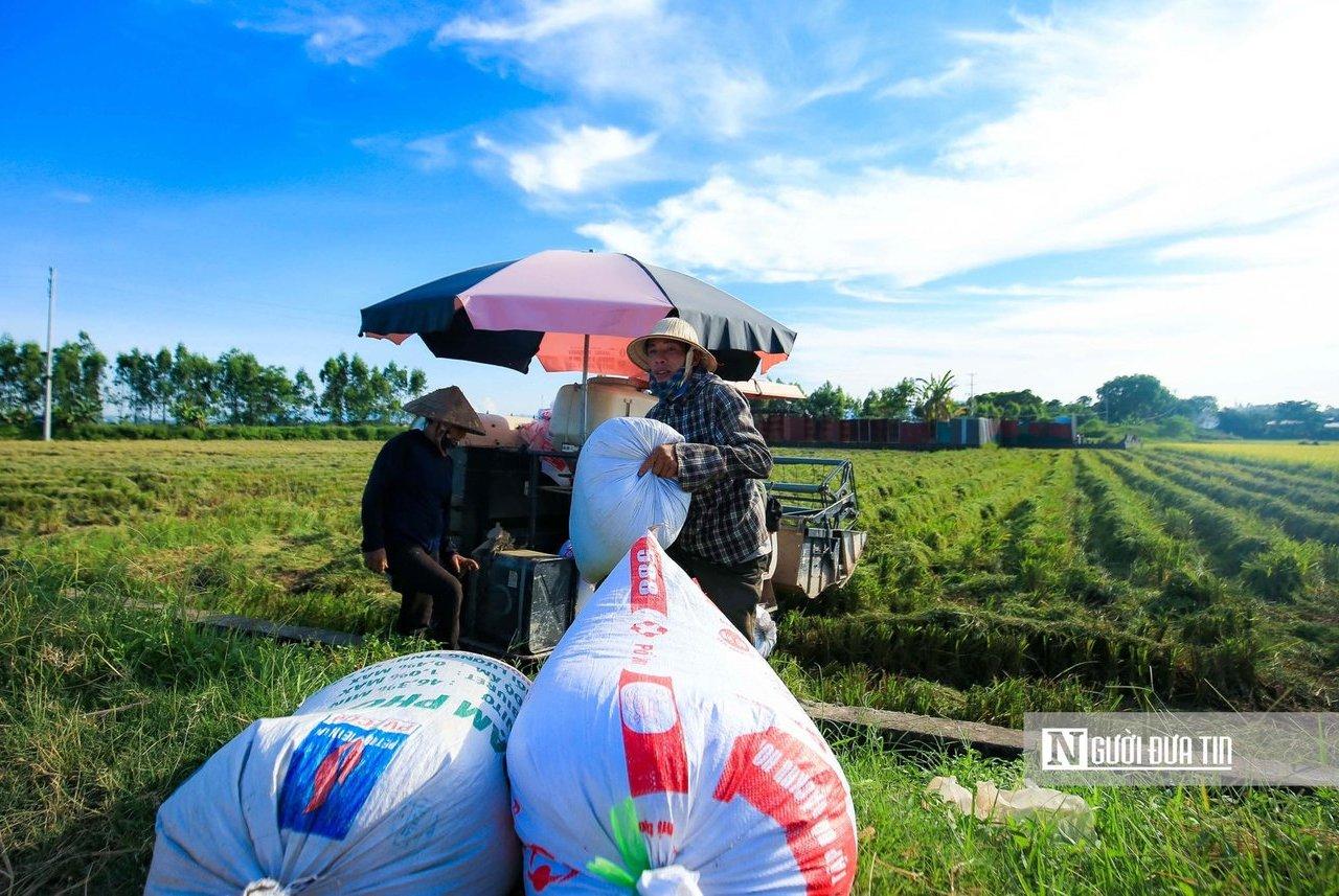 Hồ sơ doanh nghiệp - Lợi nhuận doanh nghiệp ngành gạo phân hoá: Người thắng lớn, kẻ hụt hơi