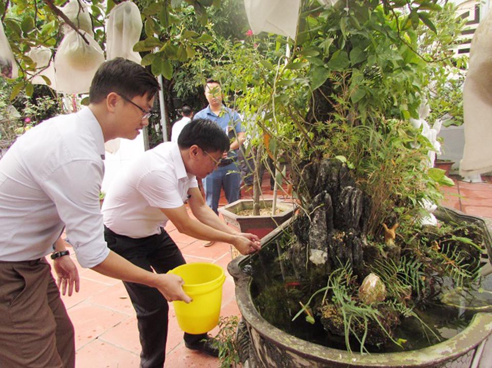 Thả cá diệt bọ gậy phòng, chống dịch bệnh sốt xuất huyết.