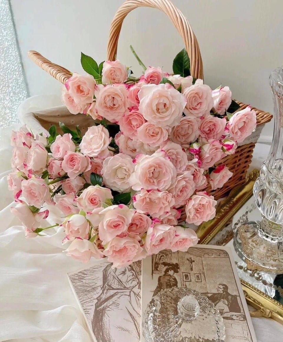 Tử vi hôm nay 5/12/2022 của 12 cung hoàng đạo - Ảnh 1