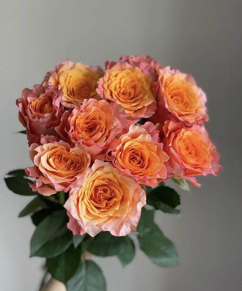 Tử vi hôm nay 6/12/2022 của 12 cung hoàng đạo - Ảnh 1