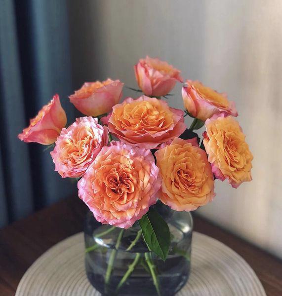 Tử vi hôm nay 6/12/2022 của 12 cung hoàng đạo - Ảnh 2