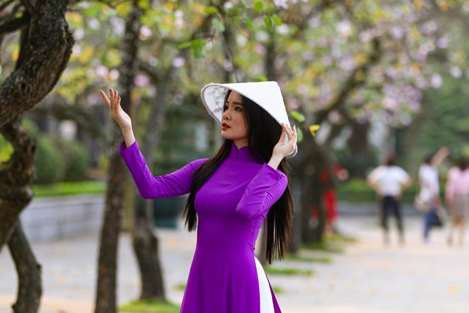 Hoa ban tại công viên Thống Nhất.