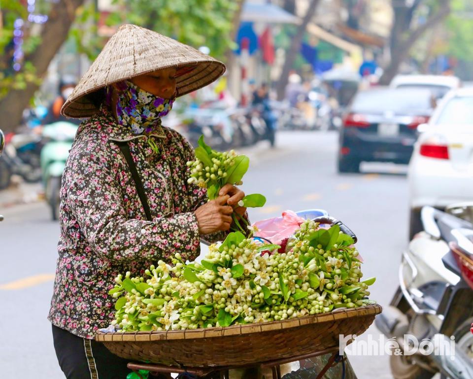 Trên khắp các ngõ phố tại Thủ đô thời gian này dễ dàng bắt gặp hình ảnh gánh hàng rong chở đầy những chùm hoa bưởi trắng tinh khôi.