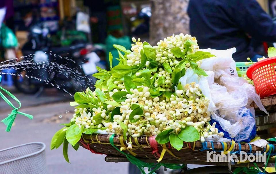 Những gánh hàng rong mang hương hoa bưởi len lỏi khắp phố phường khiến nhịp sống dường như chậm lại, thong dong và an yên.