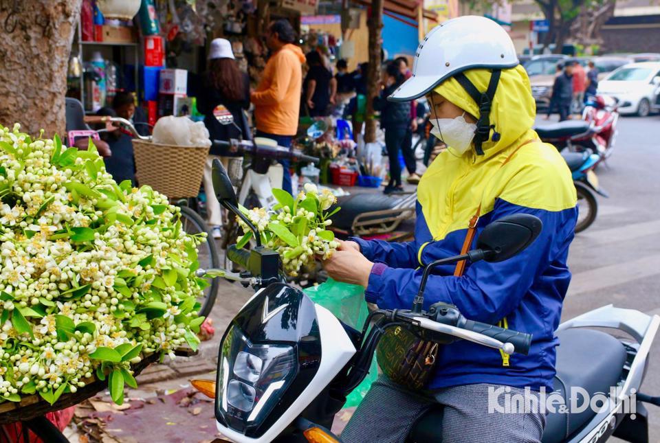 Vài năm gần đây, hoa bưởi xuất hiện ngày càng nhiều trên các con phố của Thủ đô. Và cũng có ngày càng nhiều người dân Thủ đô mua hoa bưởi về để cắm cho thơm nhà, để thắp hương hoặc ướp trà, gội đầu....