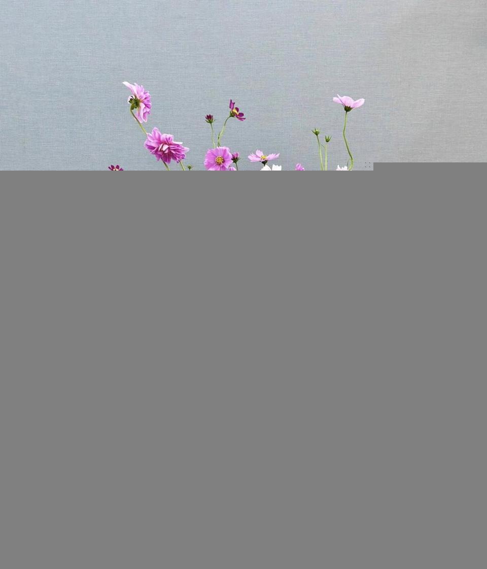 Tử vi hôm nay 9/3/2023 của 12 cung hoàng đạo - Ảnh 1