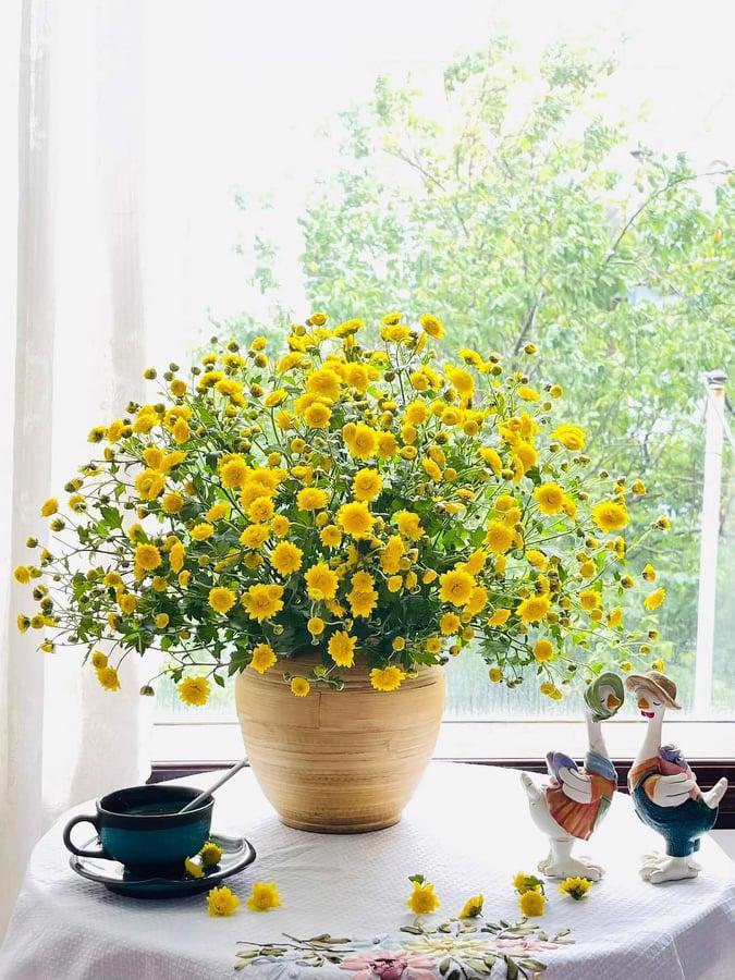 Tử vi hôm nay 14/3/2023 của 12 cung hoàng đạo - Ảnh 1